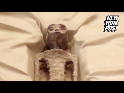 UFO expert displays supposed ‘non-human’ alien corpses in Mexico’s Congress