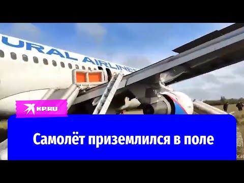 Самолёт Сочи-Омск совершил аварийную посадку в поле