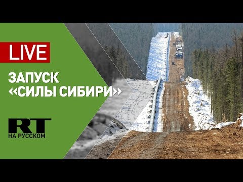 Путин и Си Цзиньпин в режиме телемоста запускают газопровод «Сила Сибири»