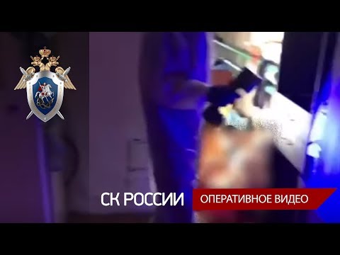 В Ульяновской области возбуждено уголовное дело по факту убийства семьи с малолетними детьми