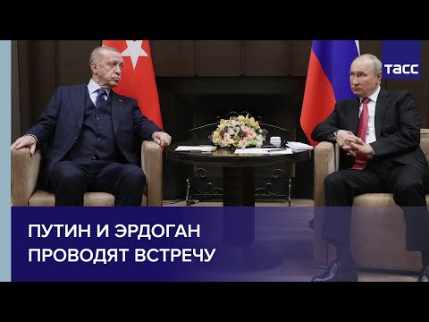 Путин и Эрдоган проводят встречу