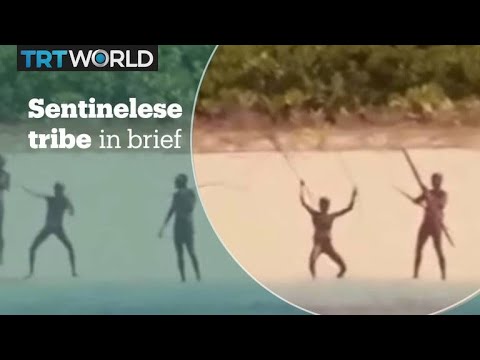 The Sentinelese tribe in brief