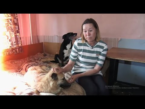 Собаки как дети, а дети как собаки. Мужское / Женское. 15.10.2025