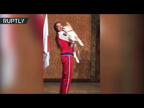Алине Загитовой подарили щенка акита-ину за победу в Олимпийских играх