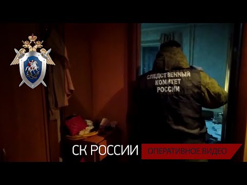 Установлена подозреваемая в совершении убийства малолетней девочки в Вологодской области
