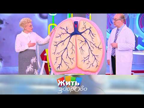 Бронхиальная астма: симптомы заболевания и способы лечения. 15.02.2024