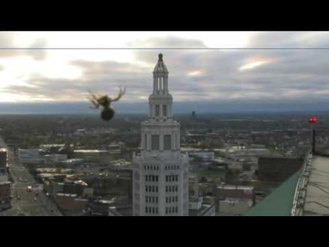 Patrick Hammer is surprised by a spider during weather