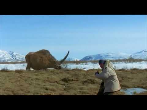 TRILOGY OF LIFE - Prehistoric Park - &quot;Unicorn&quot; (Elasmotherium sibiricum)