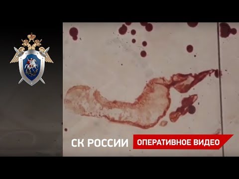 Место убийства жительницы коттеджного поселка Романовка