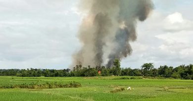 Боевики рохинджа сожгли буддийский монастырь в Мьянме