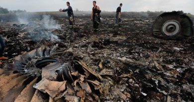 Malaysian Airline Crashes In Ukraine