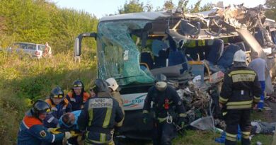 Семь человек погибли в страшном ДТП под Калининградом