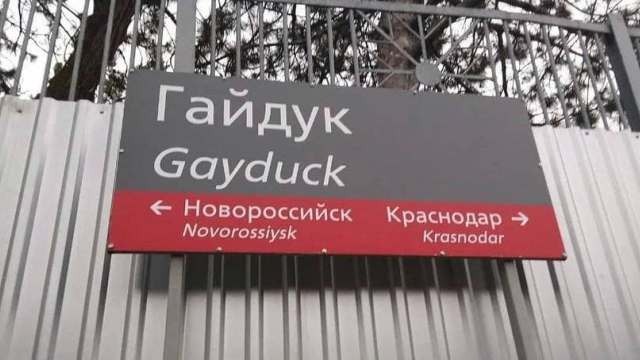 «Гей утка» на станции Гайдук