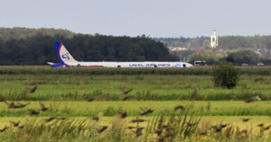 Севший на кукурузном поле лайнер A321