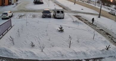 11-летний школьник замерз насмерть в Дубне