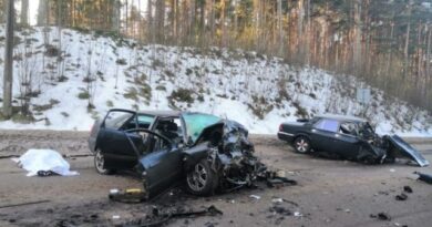 Пять человек погибли при лобовом ДТП в Псковской области
