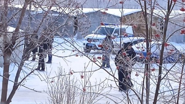 Насильник 14-летней падчерицы залез на дерево в Омске