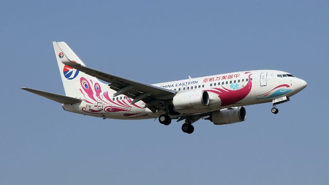 Boeing 737 авиакомпании China Eastern потерпел крушение на юге Китая