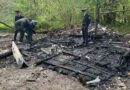 Подростки заживо сожгли 11-летнего мальчика в Раменском
