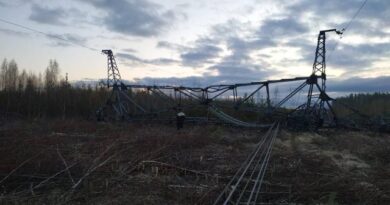 Опору ЛЭП взорвали в Ленинградской области