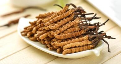 Гриб-паразит Cordyceps