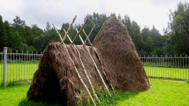 Шалаш Ленина в Разливе