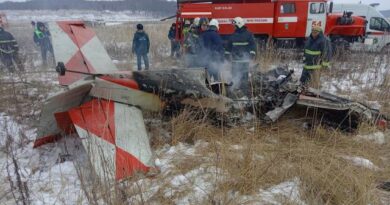 Легкомоторный самолет разбился в Нижегородской области