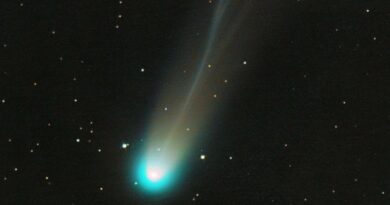 Комета C/2025 A6 (Lemmon)