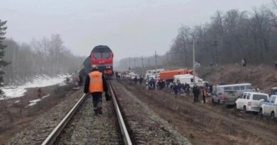 Пассажирский поезд сошел с рельсов в Ульяновской области