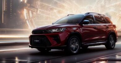 Особенности, делающие автомобили SWM востребованными SWM GO1F