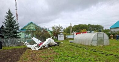Самолет рухнул в огород частного дома в Татарстане Самолет рухнул в огород частного дома в Татарстане